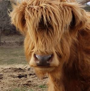 Meet your Posher, Ricknkathy